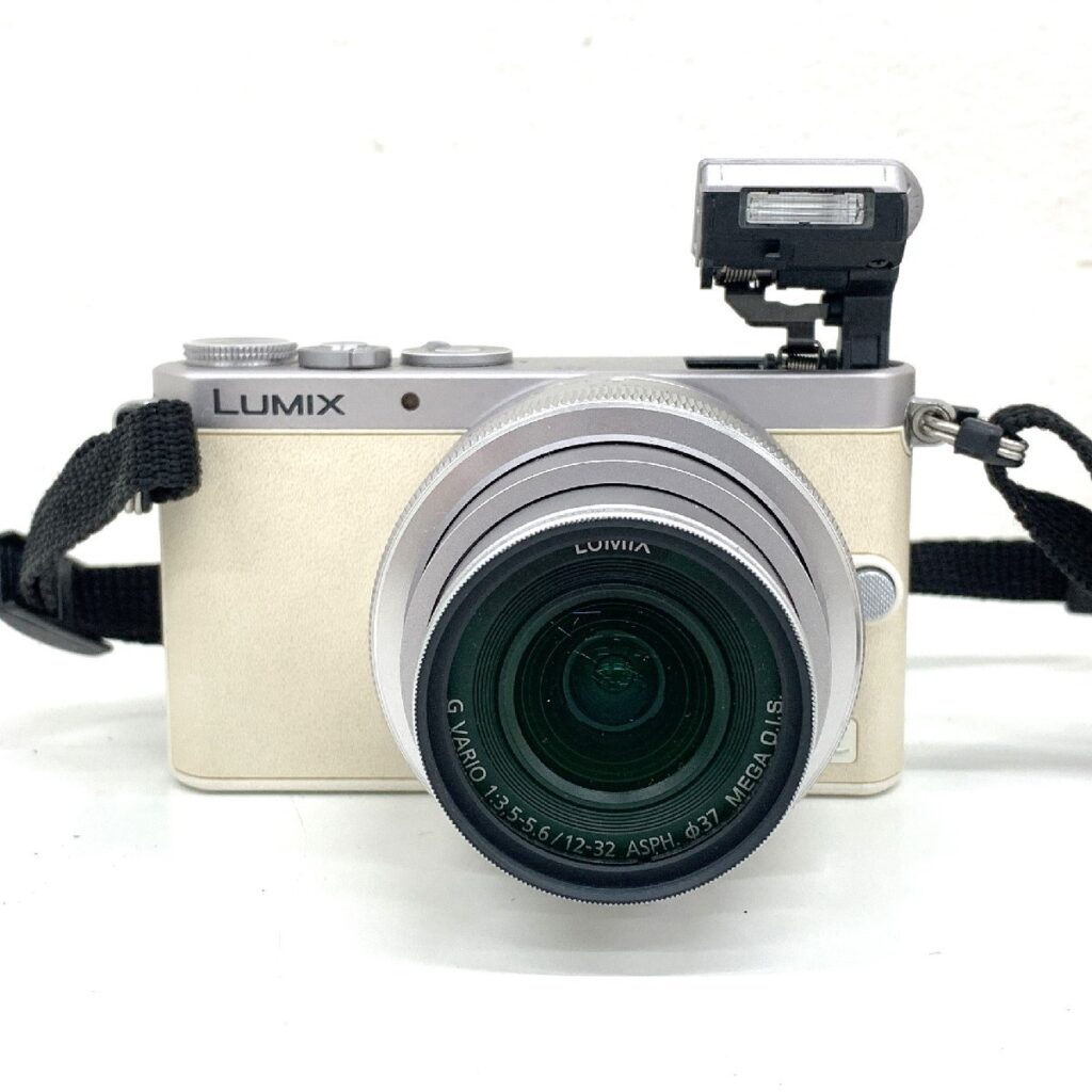 Panasonic パナソニック LUMIX DMC-GM1 ミラーレス一眼 カメラ G VARIO 12-32mm F3.5-5.6 充電器 バッテリー2個