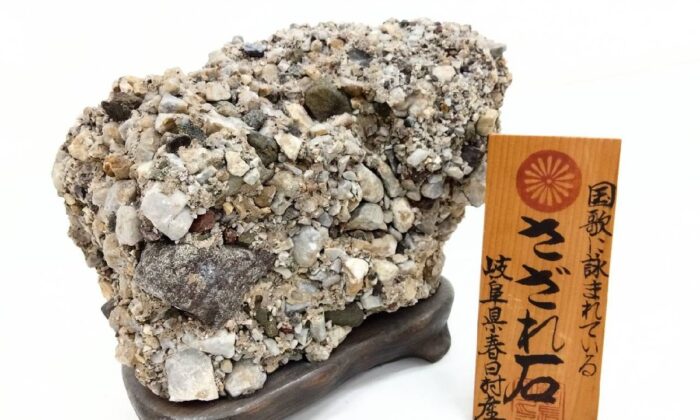 わちふぃーるど ダヤン オルゴール 月下連弾 ムーンライト