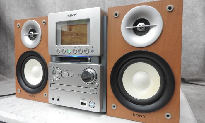 BOSE 301-AV MONITOR スピーカー ペア 吊り下げ金具付き DIRECT