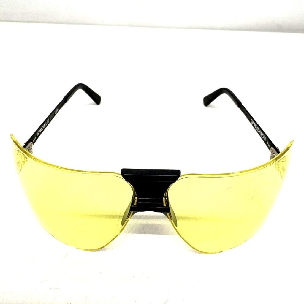 GARGOYLES サングラス ガーゴイル 詳細不明